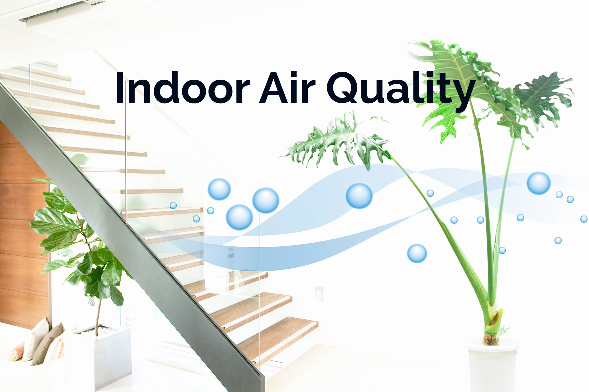 Modern indoor space with plants near a staircase, featuring the text "Indoor Air Quality" and blue bubbles and waves to symbolize fresh, clean air for your home.