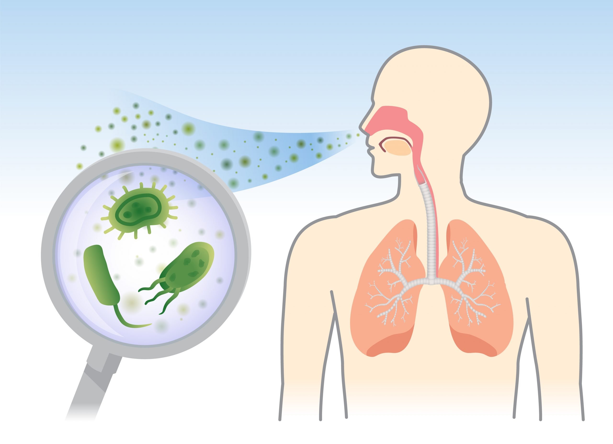 Illustration of a person inhaling airborne germs, shown magnified as bacteria entering through the nose and mouth—highlighting the importance of air conditioner hygiene to reduce respiratory risks.