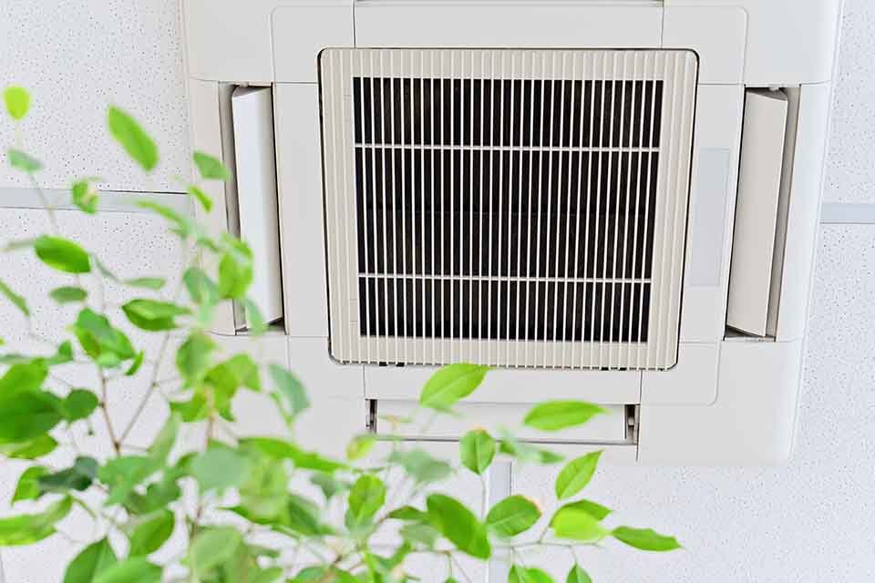 Ceiling-mounted air conditioning vent with a green leafy indoor plant in the foreground, highlighting stylish home cooling solutions.