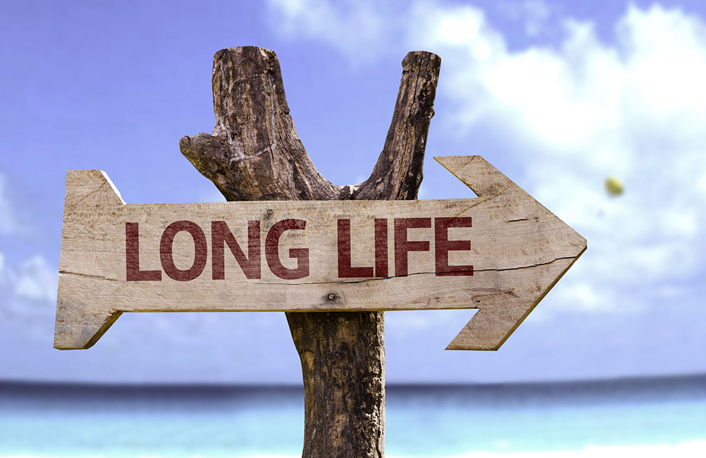 A wooden arrow-shaped sign with the words "LONG LIFE" points to the right, set against a beach and blue sky background—reminding you that regular AC maintenance can help extend AC life.