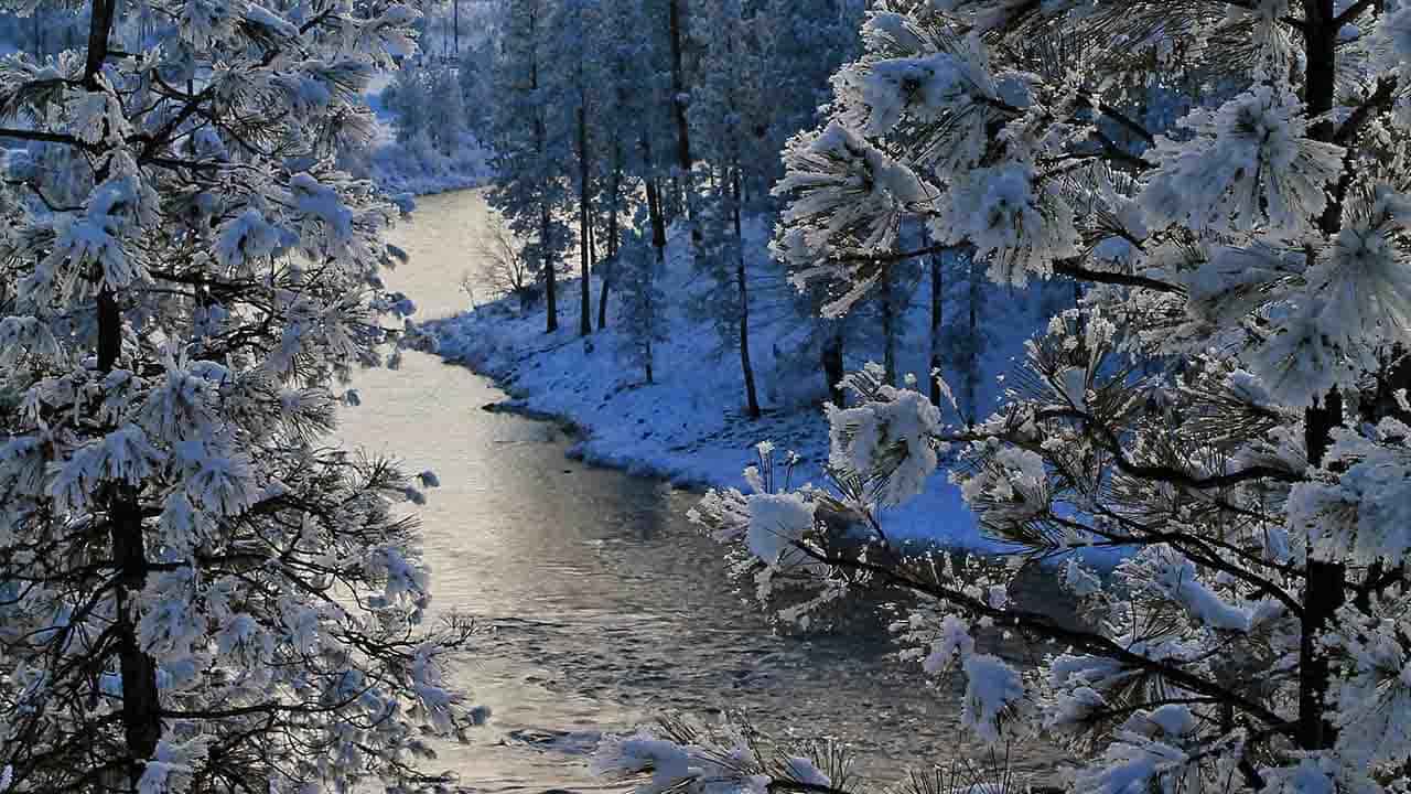 Snow-covered trees frame a calm river winding through a winter forest landscape, where the chill hints at common HVAC problems faced during the colder months under soft natural light.
