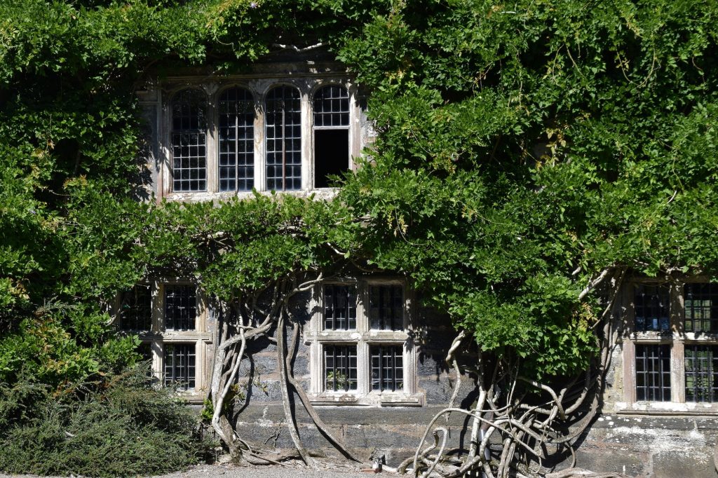 old english manor house facade with wisteria growing on it