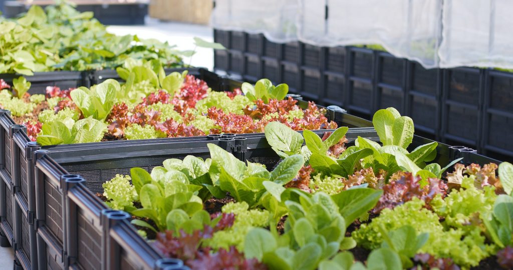 The Benefits of Installing a Green Roof: A Guide to Living Roofs and Their Benefits The Benefits of Installing a Green Roof: A Guide to Living Roofs and Their Benefits